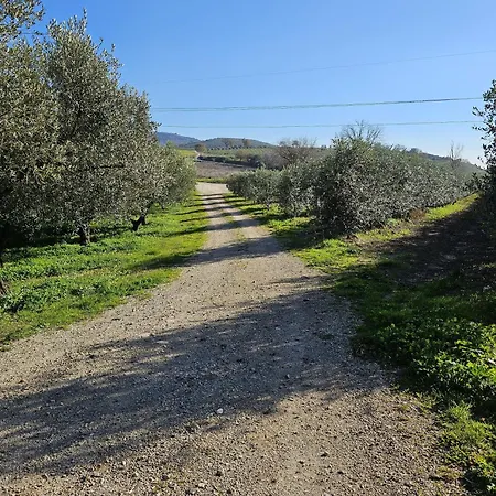 Tenuta Degli Ulivi - Dimora Contadina Holiday home Montecorvino Rovella