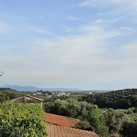 Tenuta Degli Ulivi - Dimora Contadina