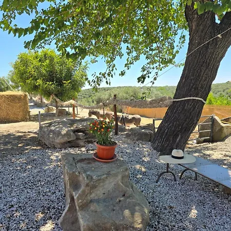 Tenuta Degli Ulivi - Dimora Contadina Holiday home Montecorvino Rovella