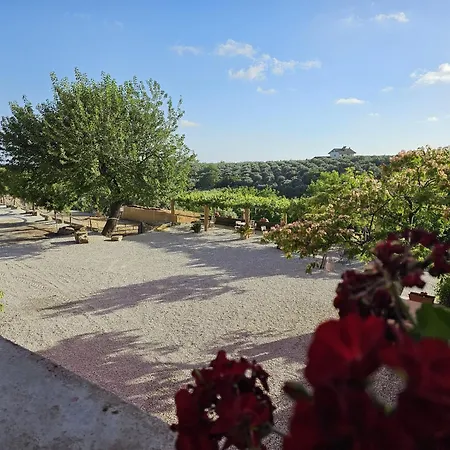 Tenuta Degli Ulivi - Dimora Contadina