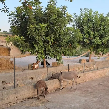 Tatil Evi Tenuta Degli Ulivi - Dimora Contadina
