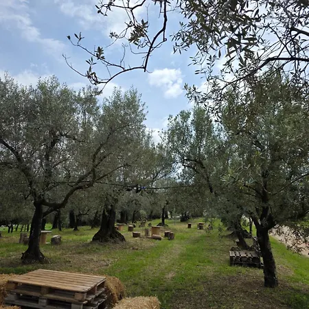 Tenuta Degli Ulivi - Dimora Contadina Montecorvino Rovella