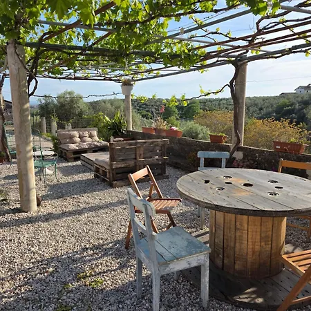Tenuta Degli Ulivi - Dimora Contadina Holiday home Montecorvino Rovella