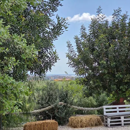 Tenuta Degli Ulivi - Dimora Contadina Holiday home