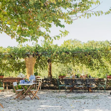 Tenuta Degli Ulivi - Dimora Contadina *
