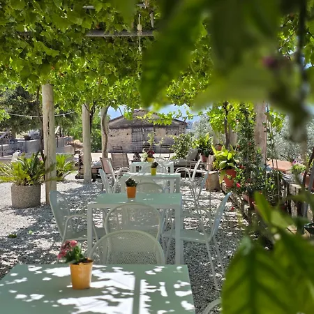 Tenuta Degli Ulivi - Dimora Contadina Montecorvino Rovella