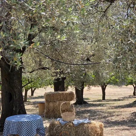 Tenuta Degli Ulivi - Dimora Contadina * Montecorvino Rovella
