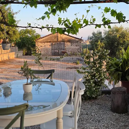 Tenuta Degli Ulivi - Dimora Contadina Tatil Evi