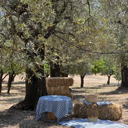 Tenuta Degli Ulivi - Dimora Contadina *