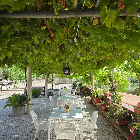Tenuta Degli Ulivi - Dimora Contadina Tatil Evi