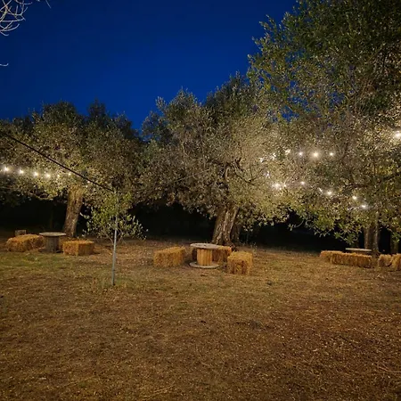 Ferienhaus Tenuta Degli Ulivi - Dimora Contadina *